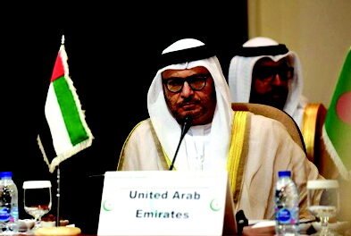 UAEના અધિકારીએ લીબિયાના મામલે આરબની બાબતમાં દખલગીરી બંધ કરવા તુર્કીને તાકીદ કરી